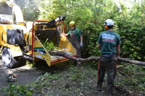 tree services Baxter